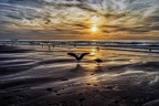 141 - scheveningen - sea