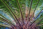 028-botanical garden bochum university