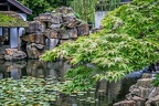 081-botanical garden bochum university