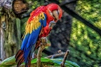 183-muenster - all-weather zoo