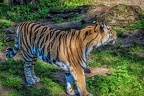218-muenster - all-weather zoo