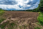 010-lohmar-meadows