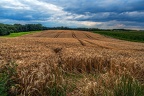 042-lohmar-fields