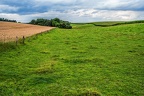 053-lohmar-fields