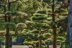 053-duesseldorf - north park - japanese garden