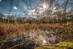 0127-rhein sieg district