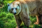 0095-osnabrueck zoo
