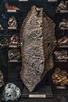 1739 - natural history museum vienna