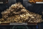 1745 - natural history museum vienna