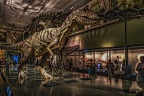 1807 - natural history museum vienna
