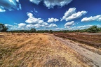 020-westruper heide