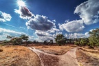 030-westruper heide