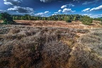 114-westruper heide