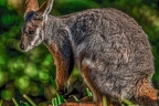 089-dortmund zoo
