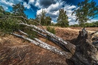 0349-westruper heath
