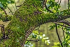 043-rhein sieg district