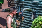 0498-air show - harpyry
