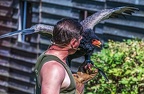 0502-air show - harpyry