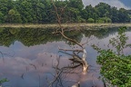 0425-leuther mill near venlo