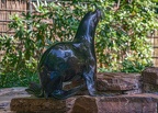 083-california sea lion
