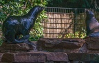 087-california sea lion