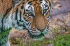 0662-duisburg zoo