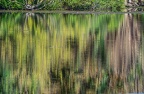 0072-rhein sieg district-water reflection