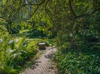 005-dortmund romberg park botanical garden