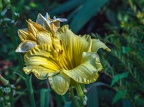 059-dortmund romberg park botanical garden
