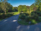221-dortmund romberg park botanical garden