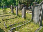 137-duesseldorf - north cemetery