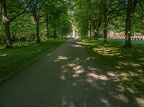 163-dortmund - main cemetery