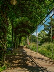 0515-muehlheim - park at broich castle