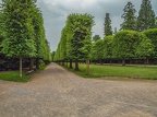 029-115-duesseldorf - benrath castle and castle park