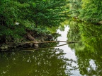 200-dortmund romberg park botanical garden