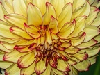0620-essen grugapark botanical garden