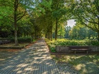 028-muehlheim - main cemetery