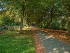 057-muehlheim - main cemetery