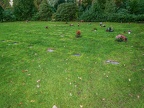 231-gelsenkirchen - main cemetery