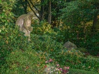 175-gelsenkirchen - main cemetery