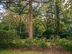270-gelsenkirchen - main cemetery