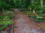 312-gelsenkirchen - main cemetery