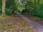 323-gelsenkirchen - main cemetery
