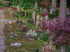 043-gelsenkirchen - main cemetery