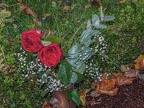 024-essen - kray cemetery