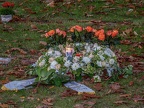 089-essen - kray cemetery