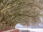 0574-essen fischlaken