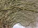 0576-essen fischlaken