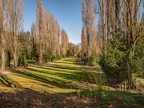 028-bochum - flower cemetery