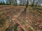 173-bochum - flower cemetery